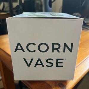 Acorn tree growing vase